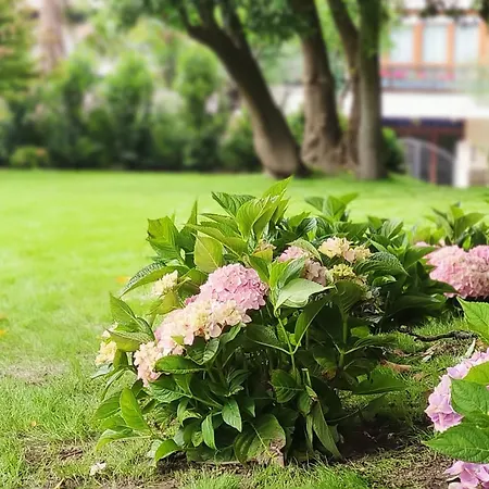 Le Petit Lejlighed *