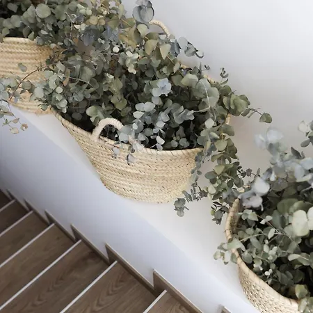 Le Petit * Santander