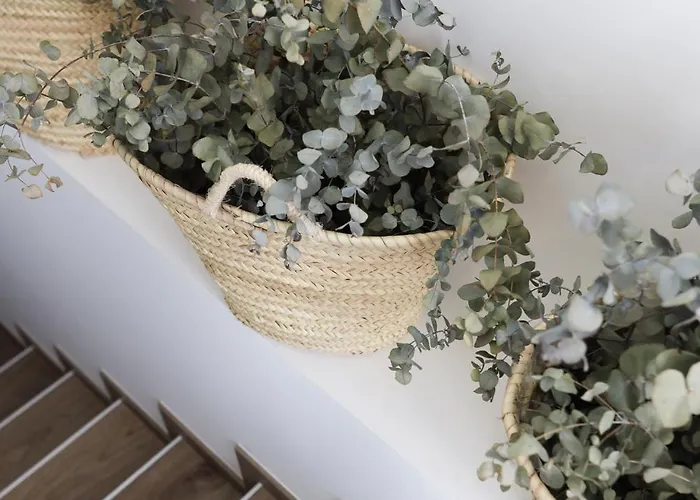 Le Petit * Σανταντέρ