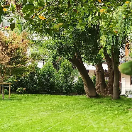 Le Petit Lägenhet *